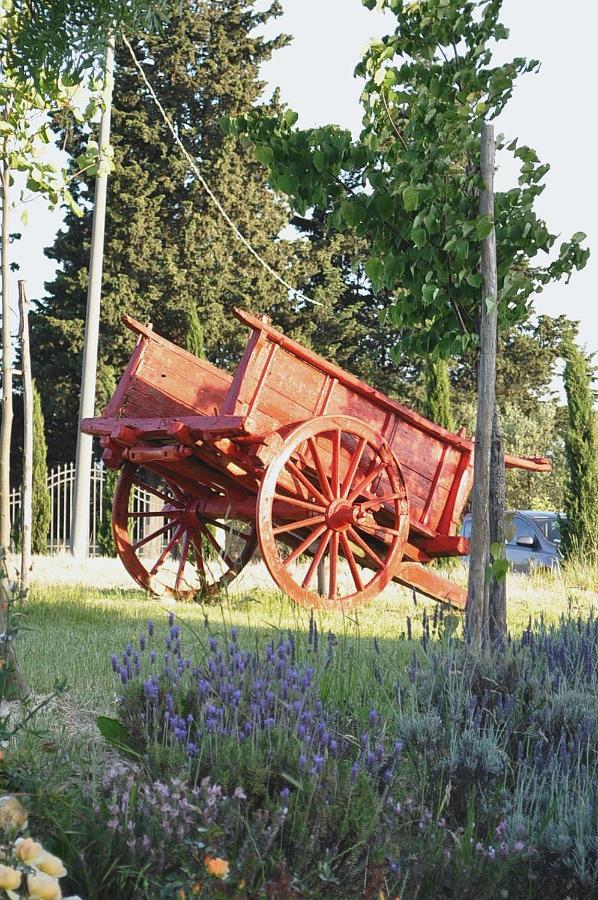 Azienda Agrituristica Bellavista Villa Монтеспертоли Екстериор снимка