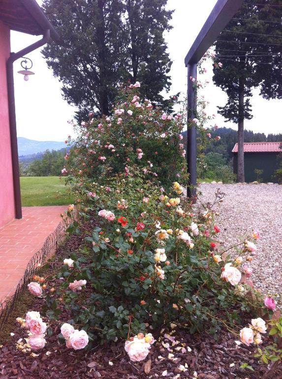 Azienda Agrituristica Bellavista Villa Монтеспертоли Екстериор снимка