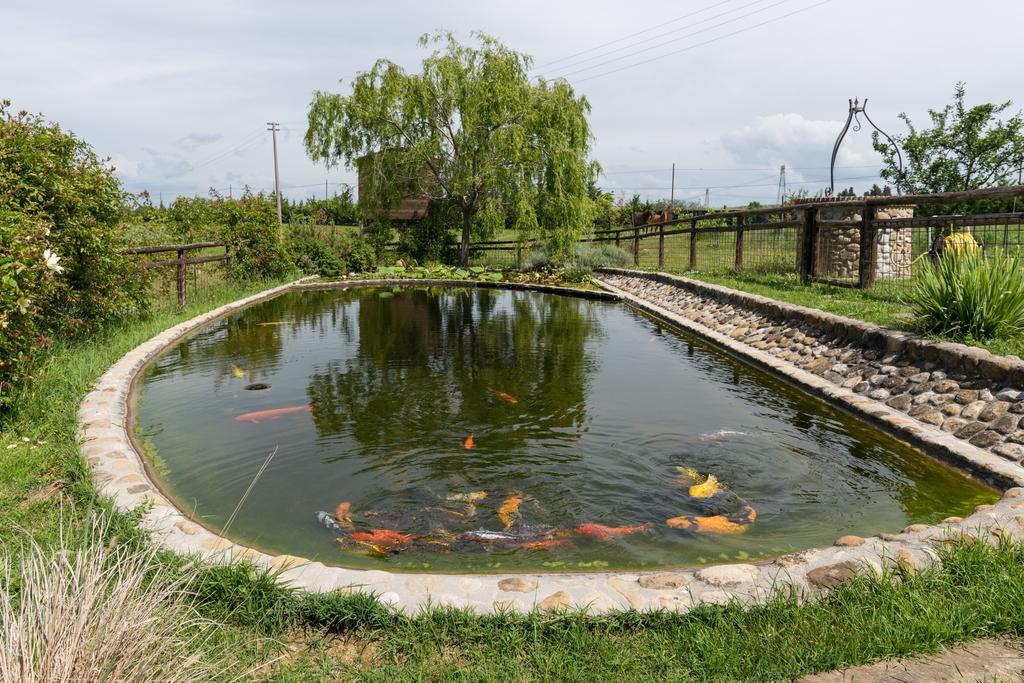 Azienda Agrituristica Bellavista Villa Монтеспертоли Екстериор снимка